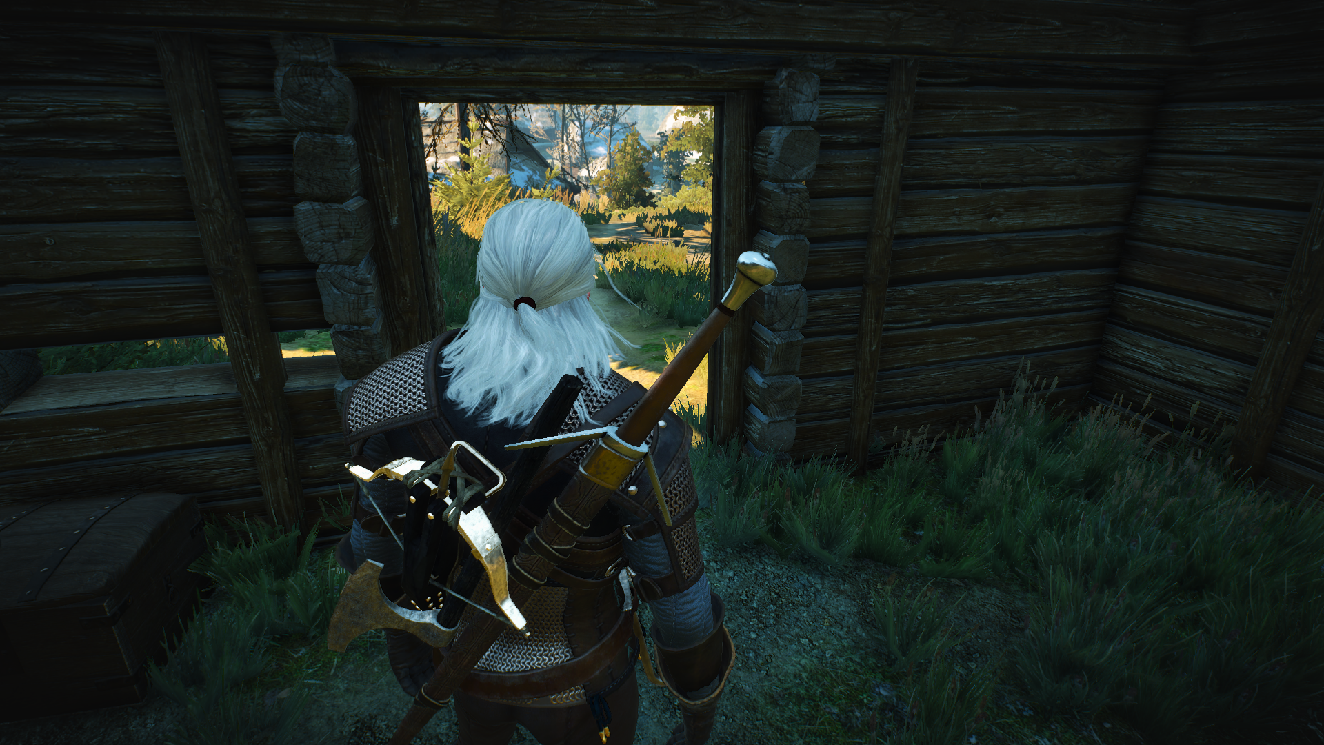 witcher3201505191359.png