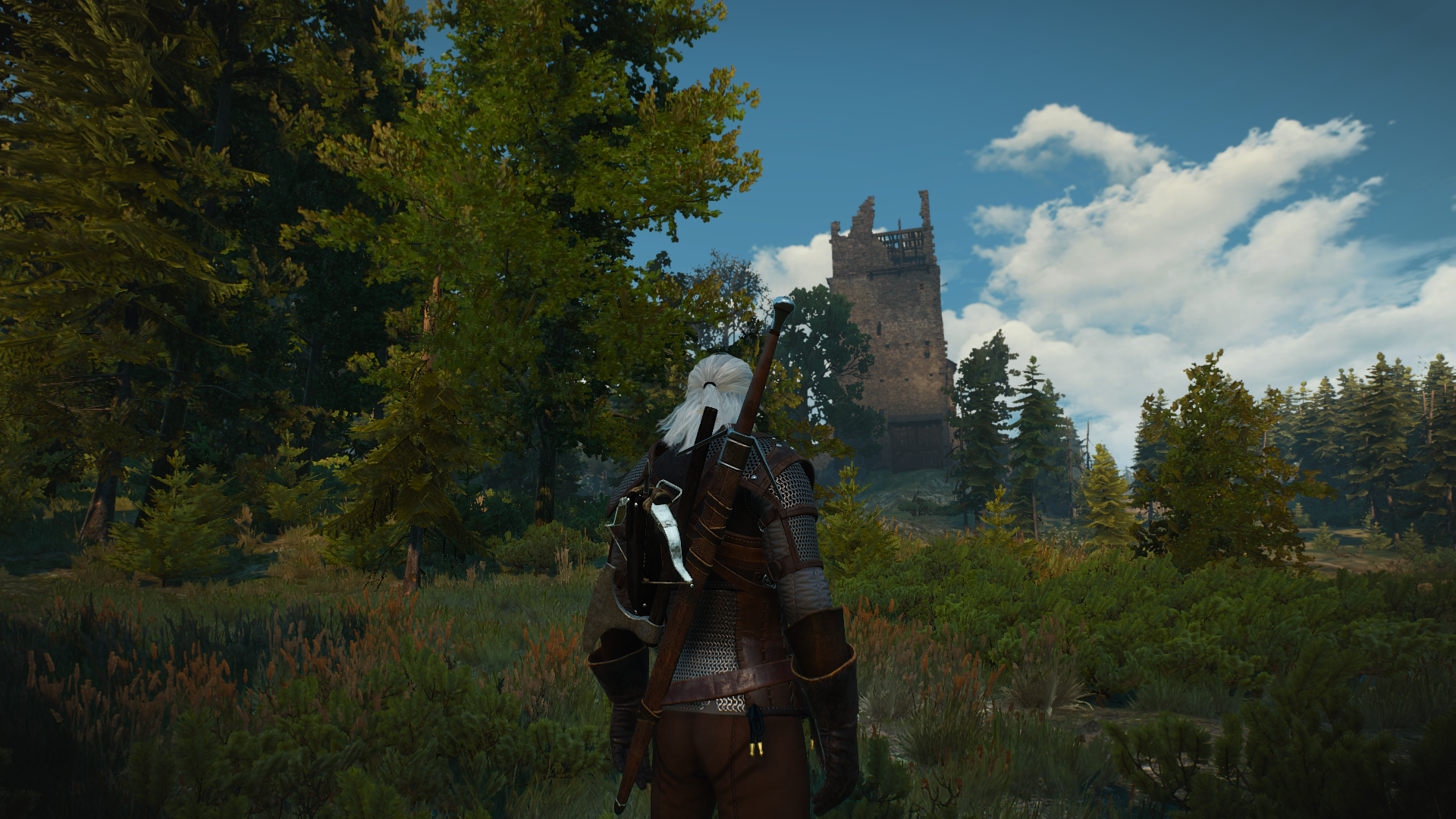witcher3201505191424.png