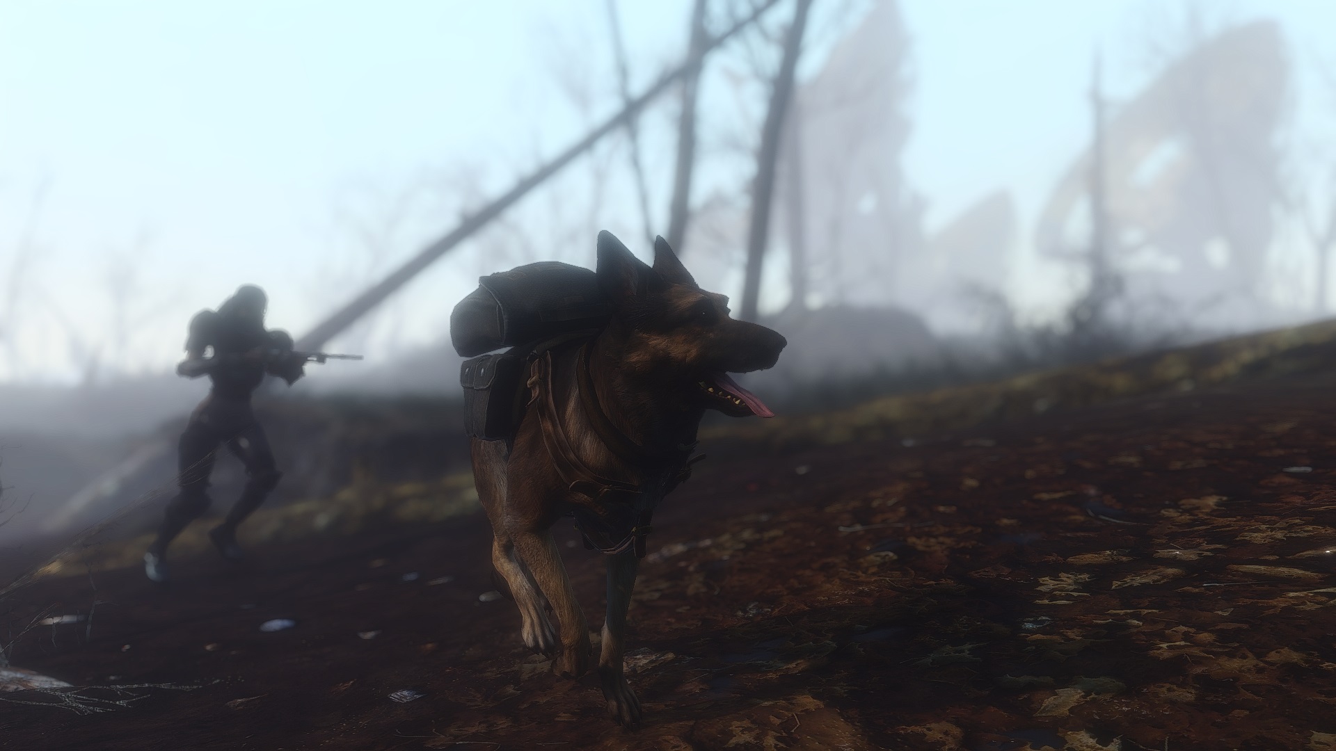 Fallout4201603071924.jpg