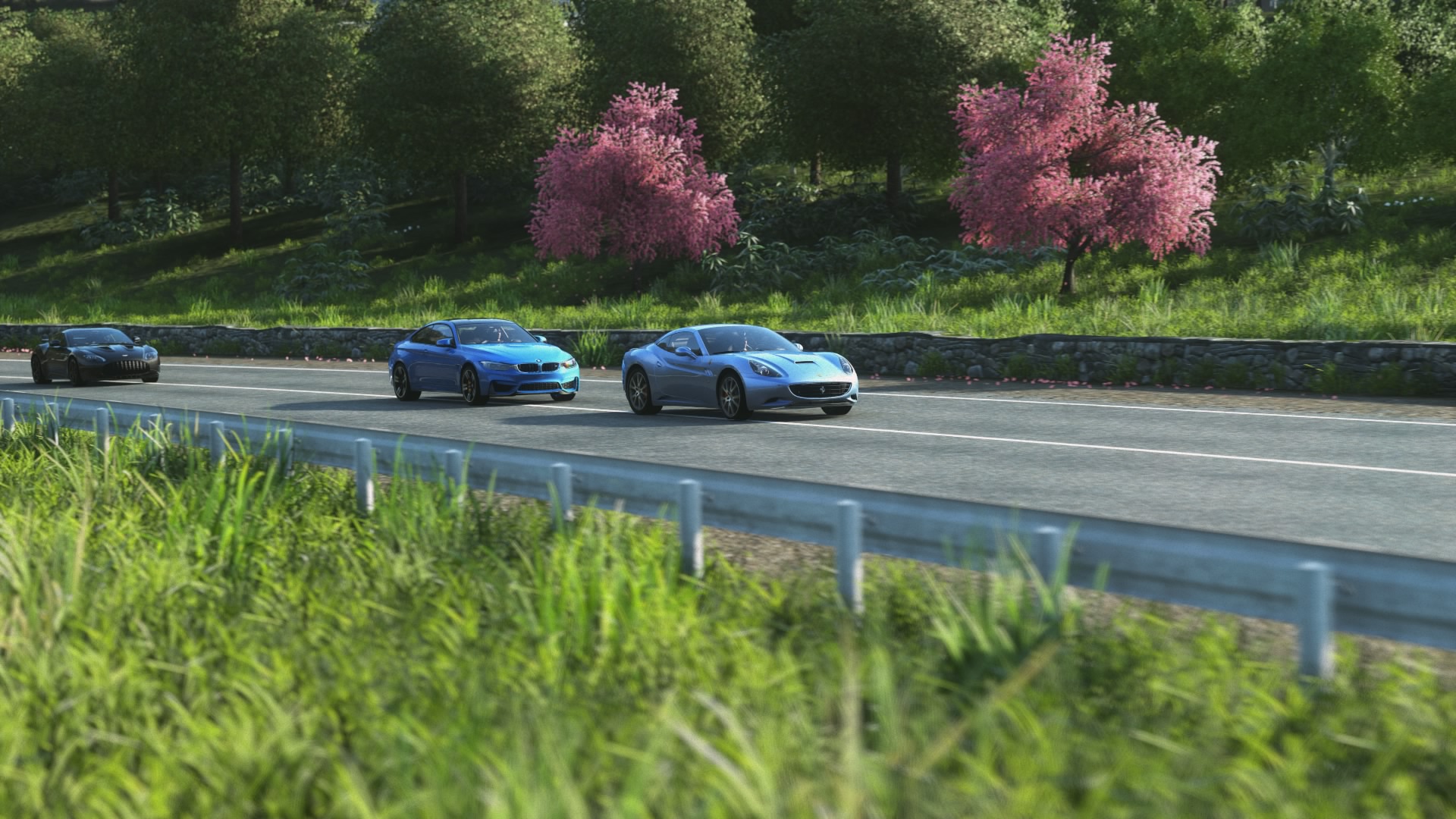 DRIVECLUB20150419114.jpg
