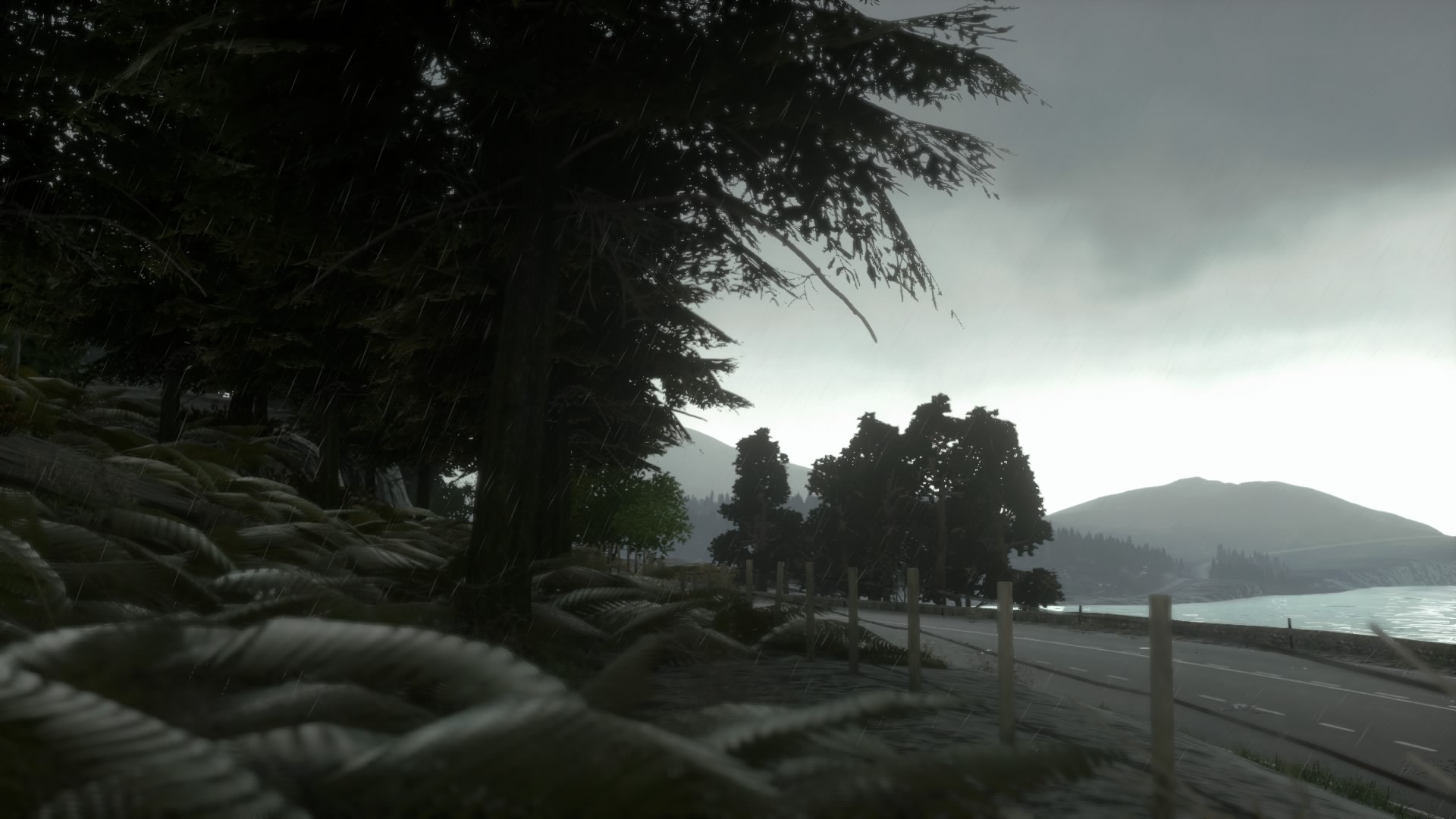 DRIVECLUB20150912222.jpg