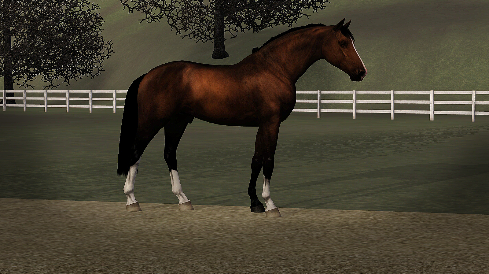 Horse image