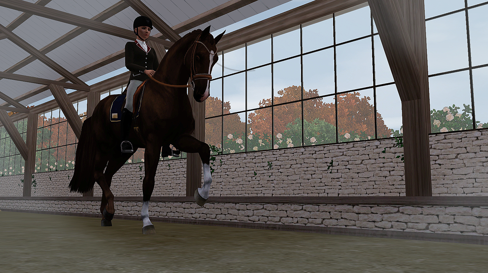 Horse image