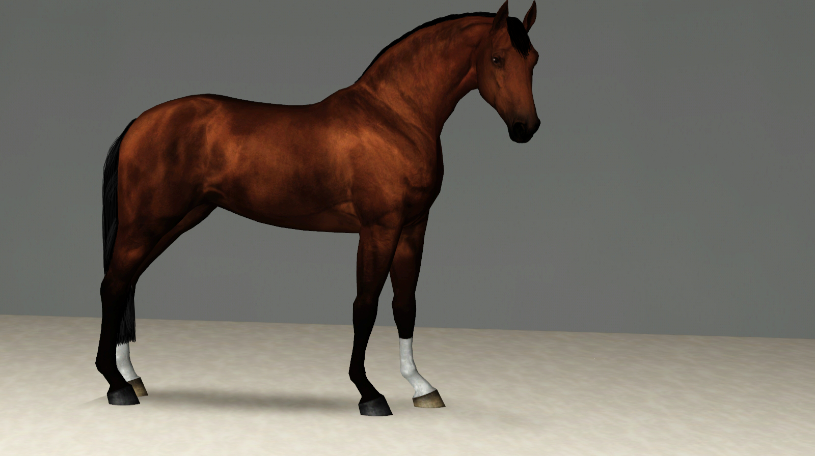 Horse image