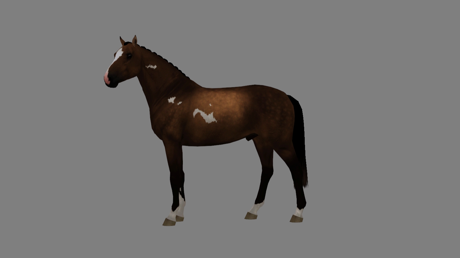 Horse image