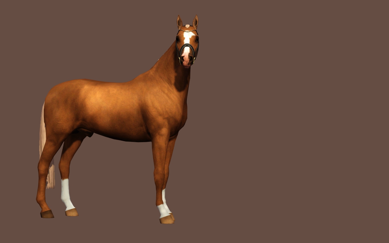 Horse image