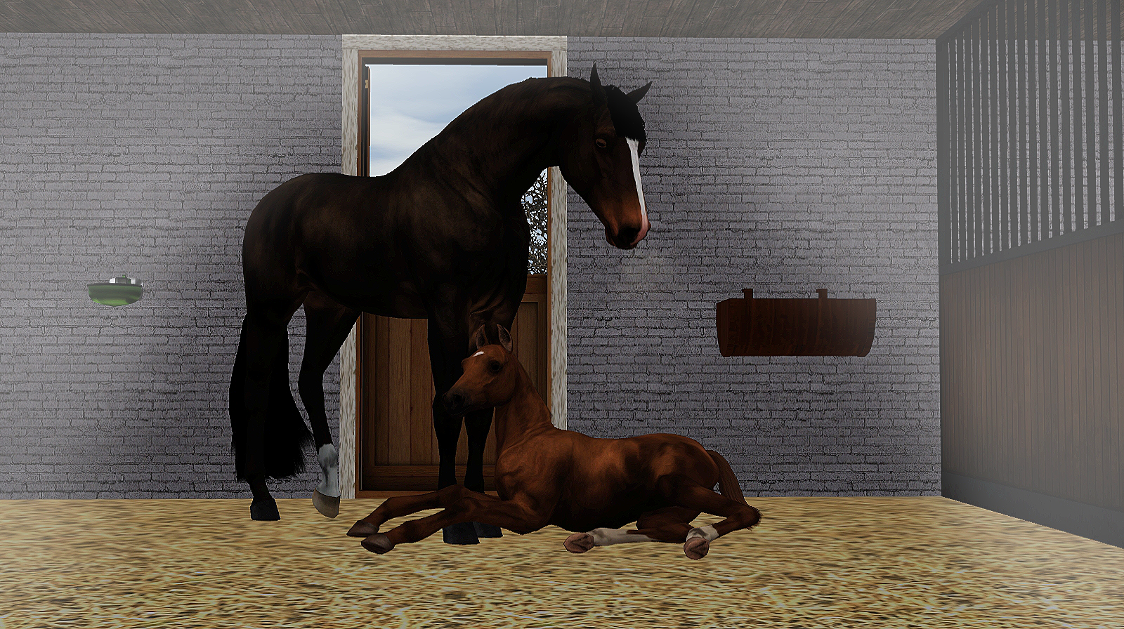 Horse image