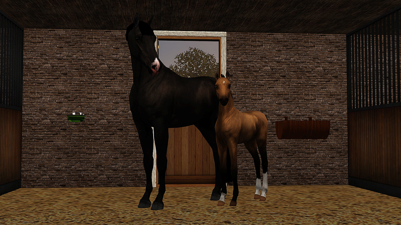Horse image