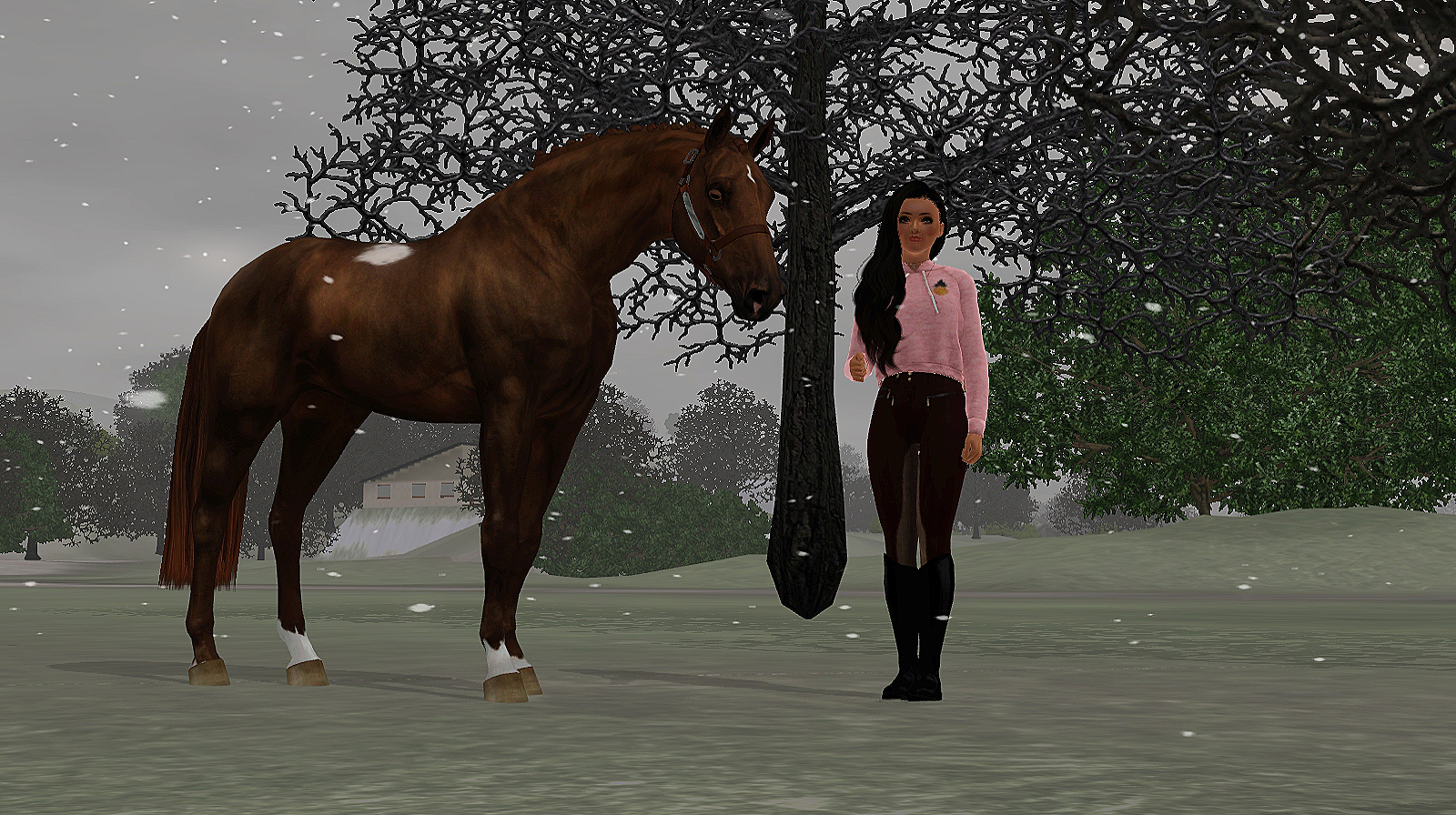 Horse image