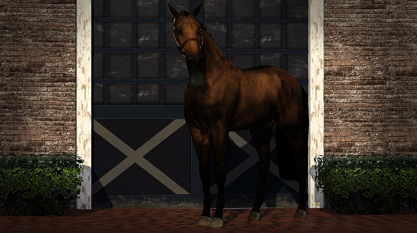 Horse image