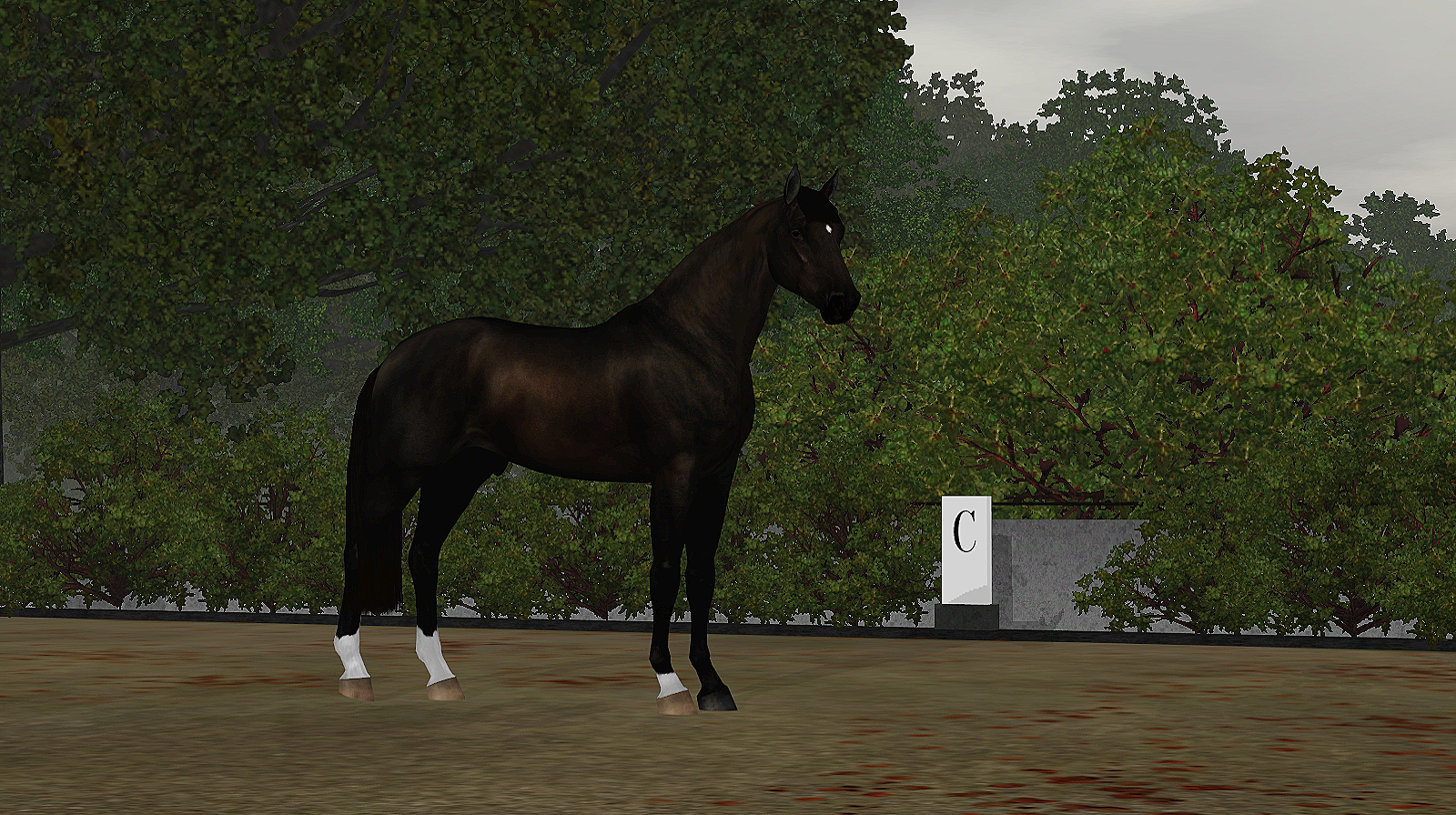 Horse image