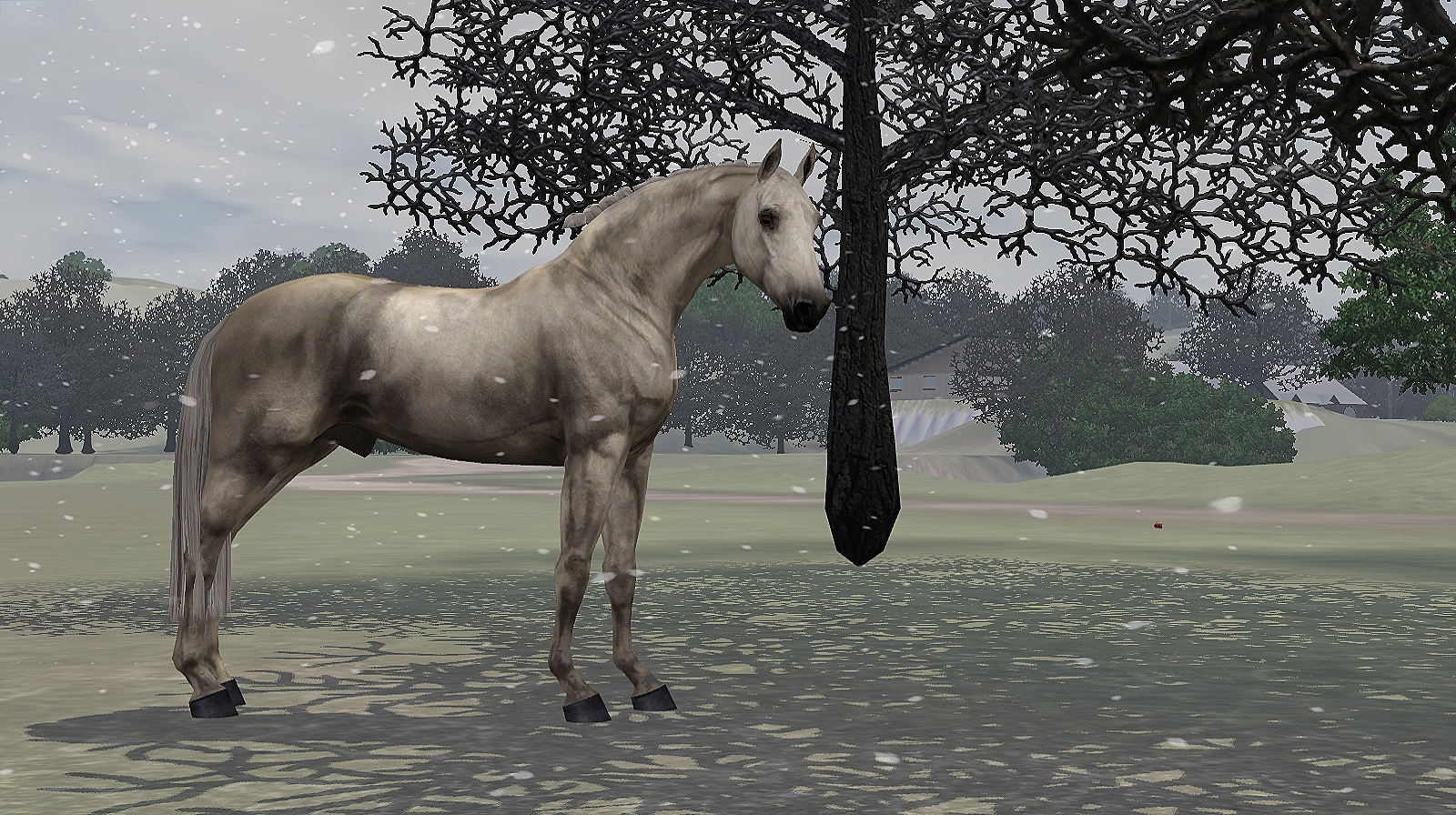 Horse image