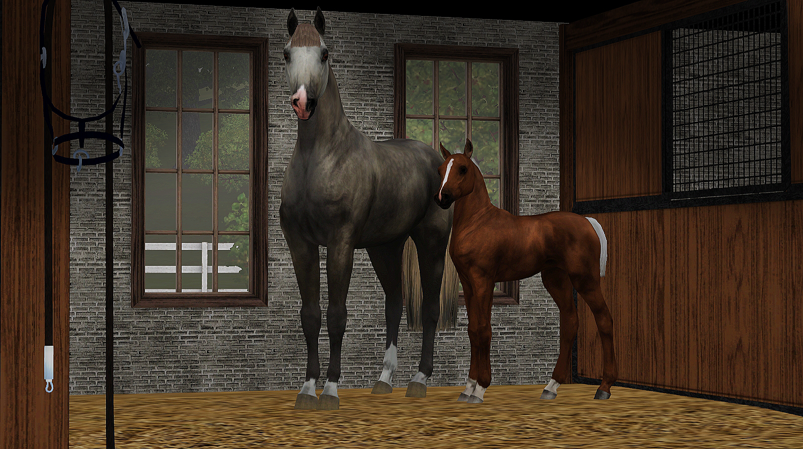 Horse image