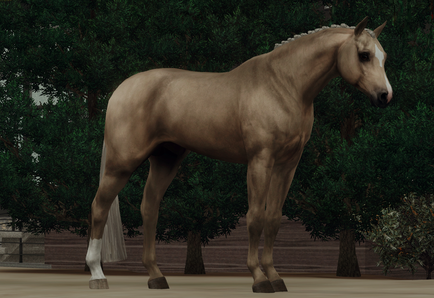 Horse image