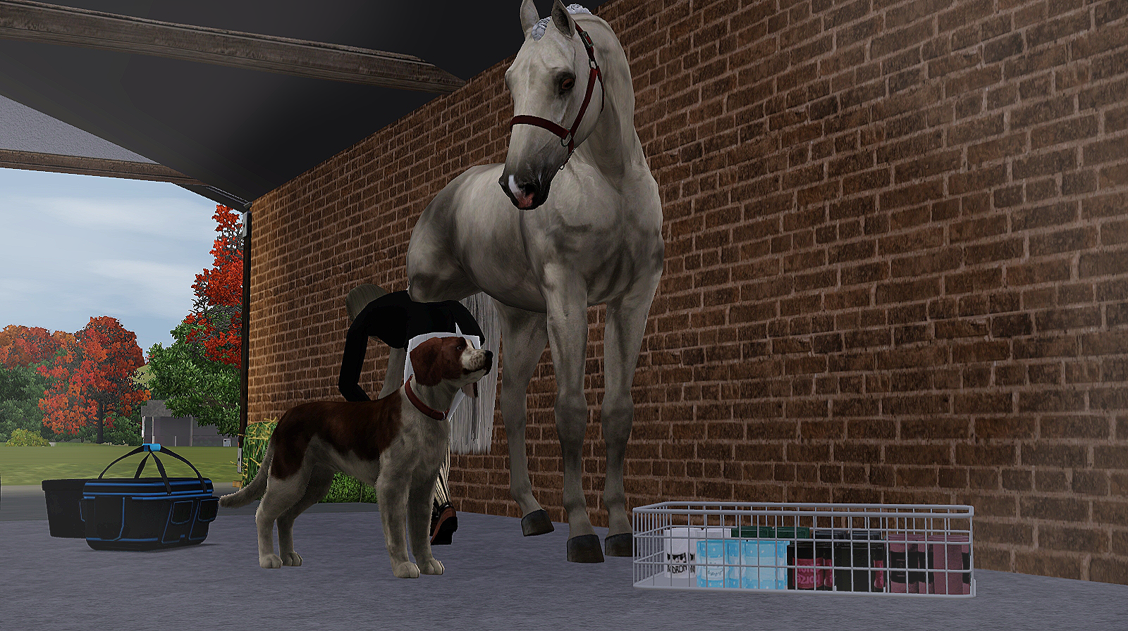 Horse image