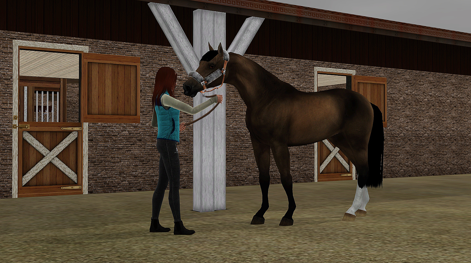 Horse image