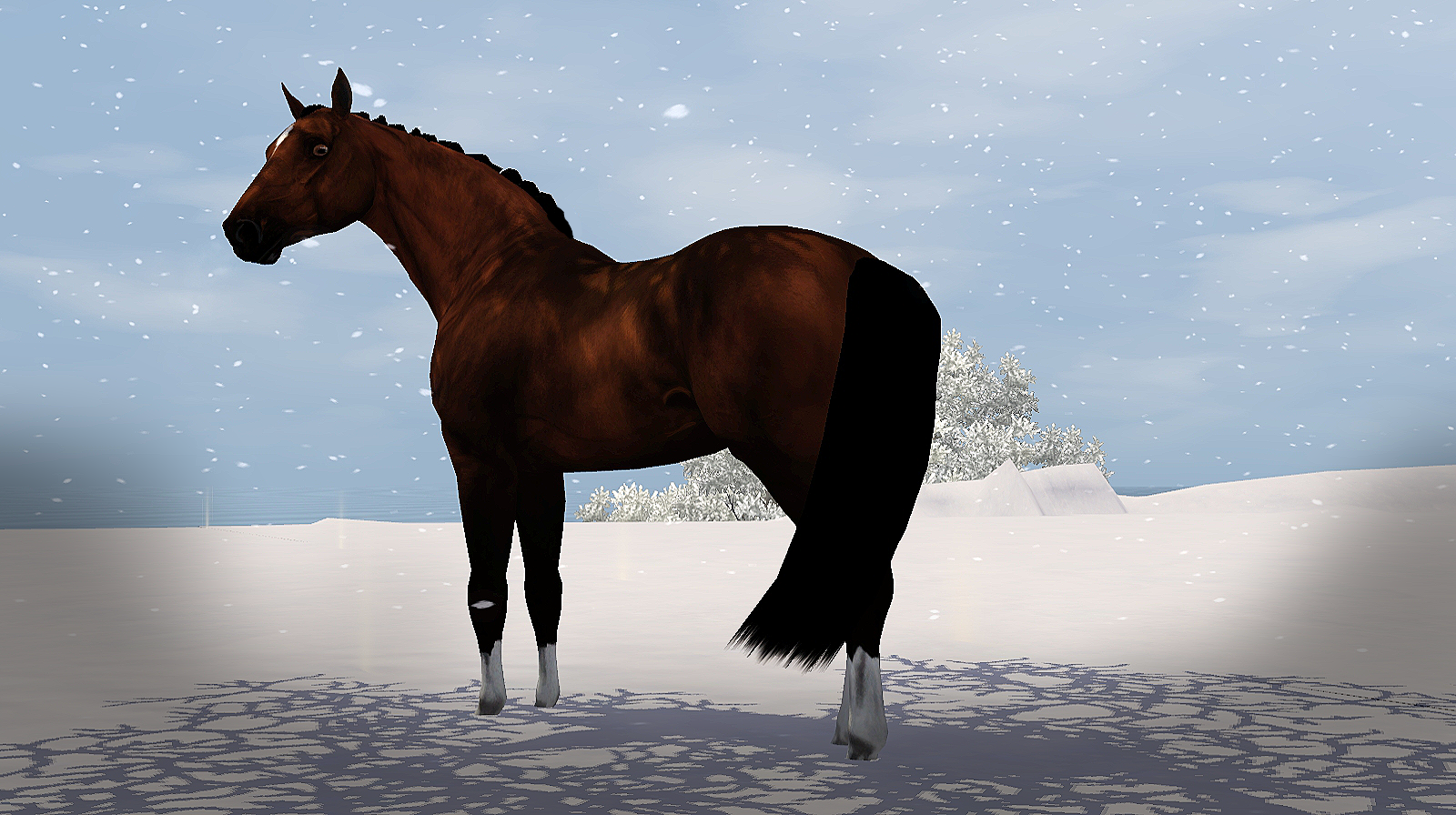 Horse image