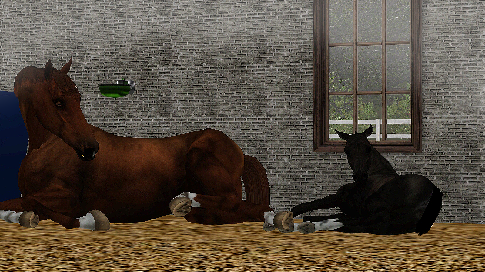 Horse image