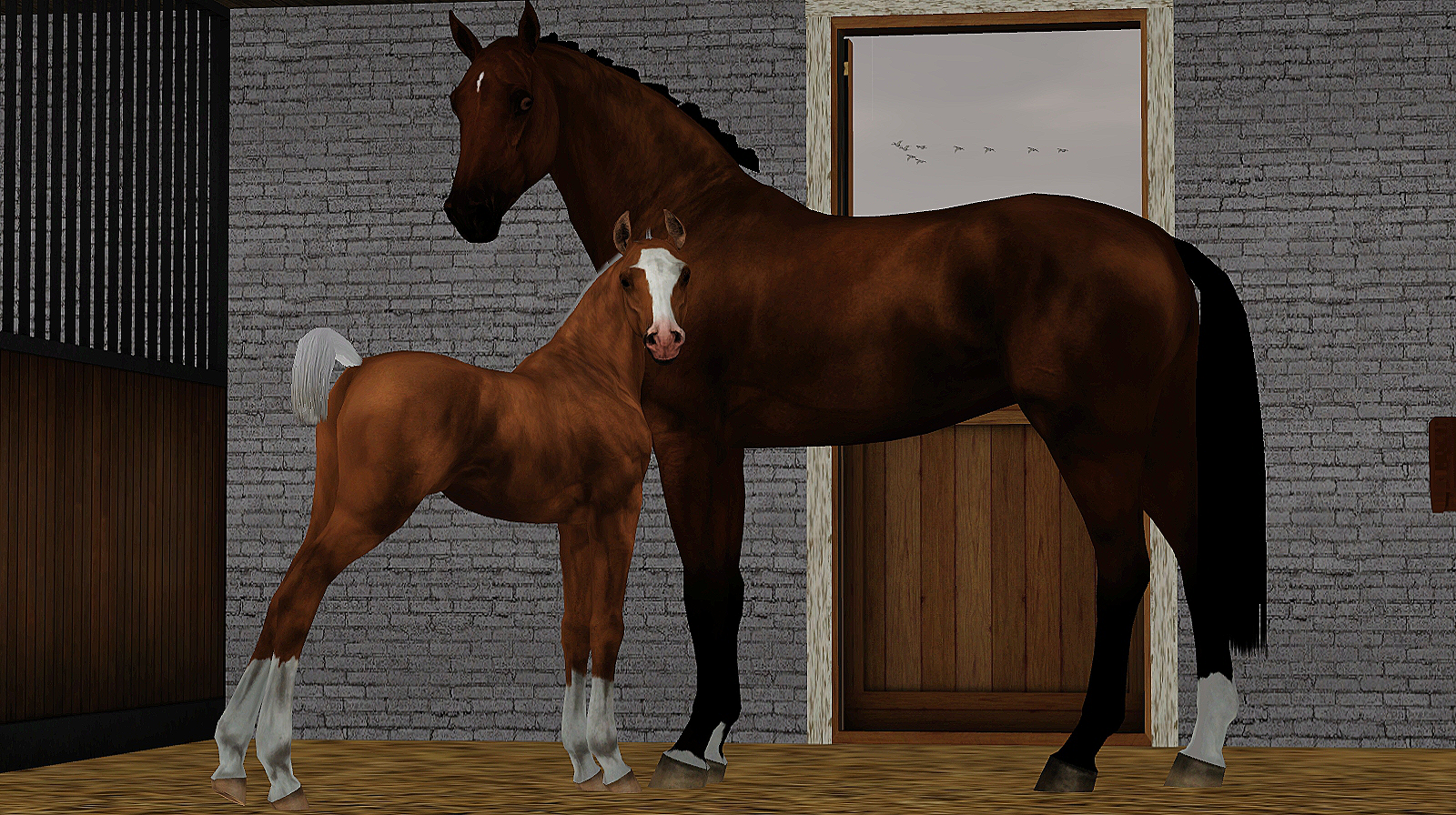 Horse image