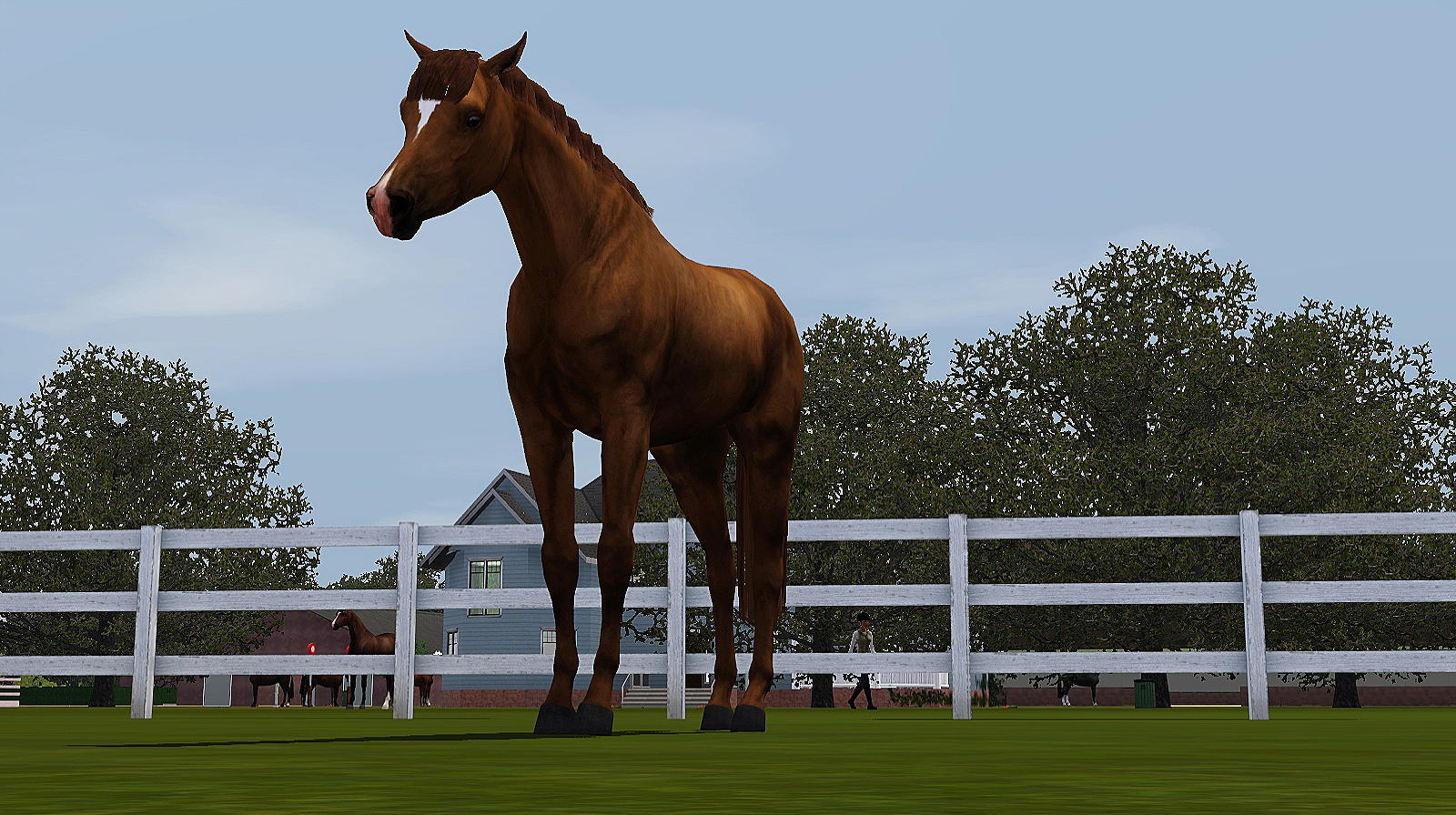 Horse image