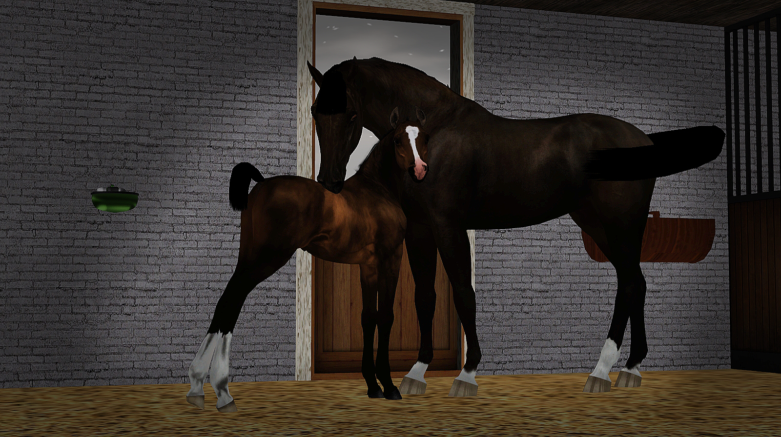 Horse image