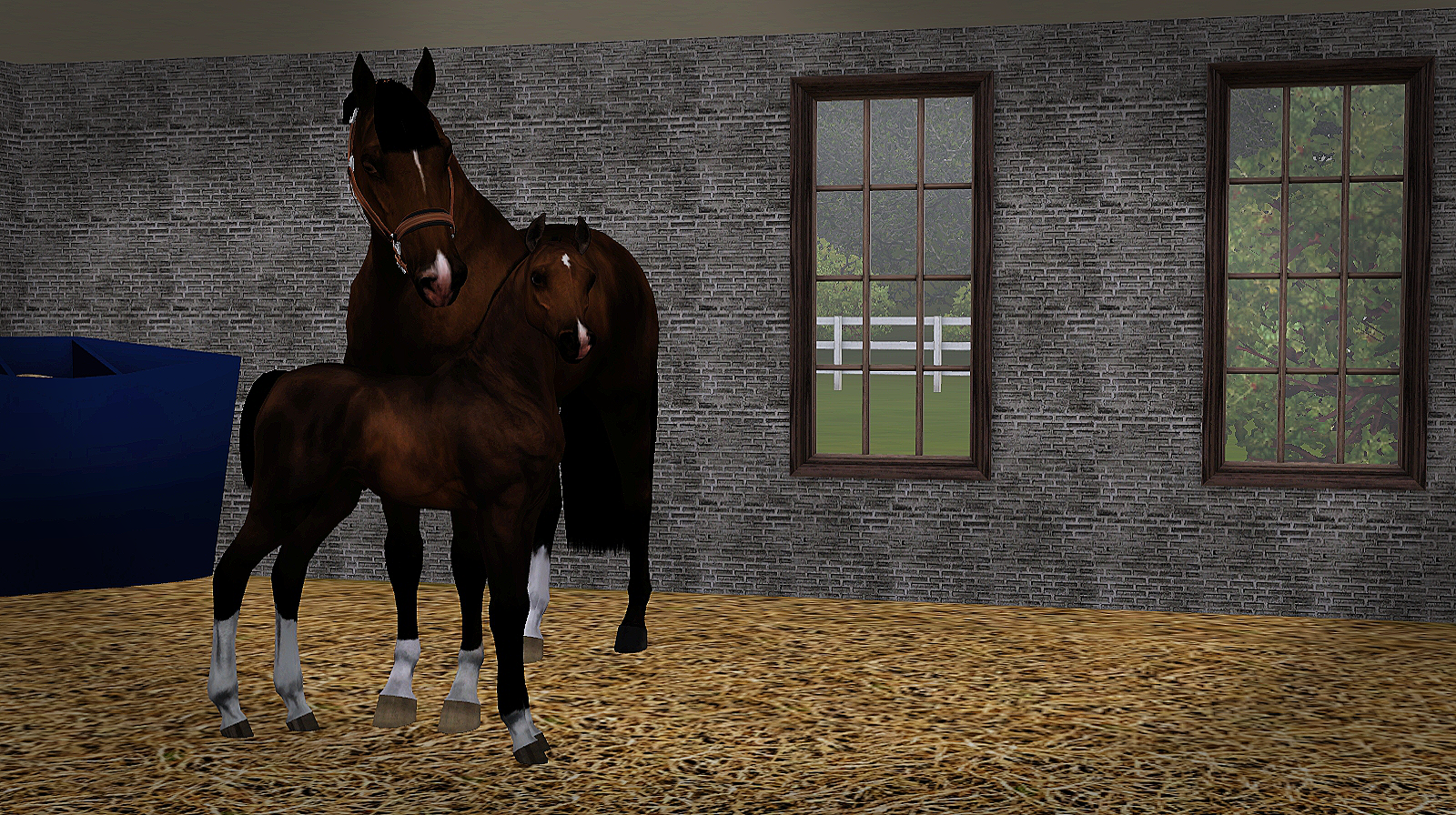 Horse image