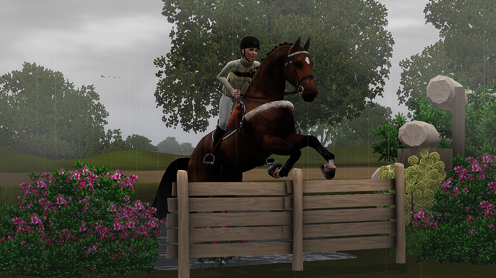 Horse image