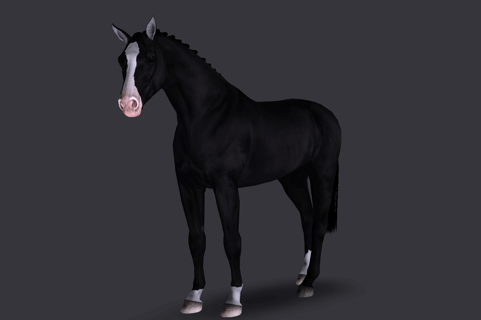Horse image