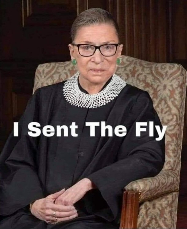 SentFly.jpg