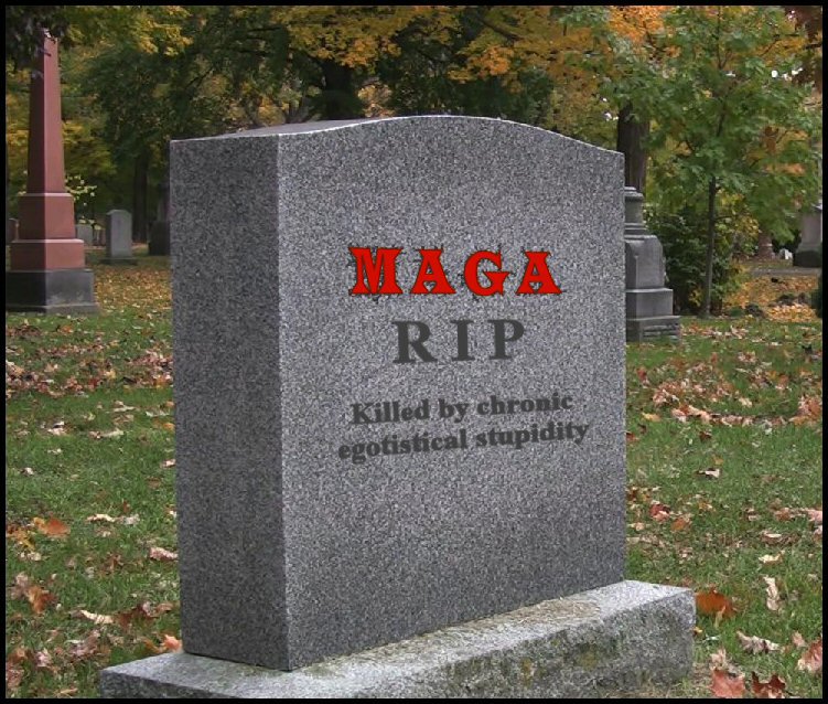 StoneCold.jpg