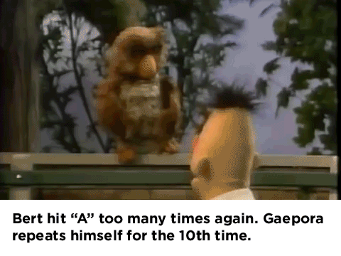 z.gif