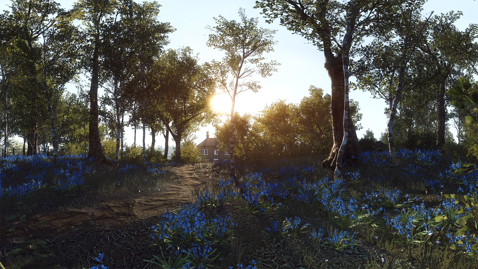rapture4.jpg