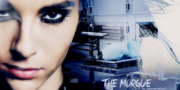 http://u.cubeupload.com/LumiTOS/themorguebanner.jpg