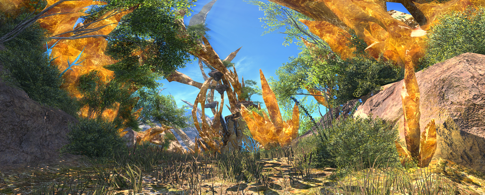 pano12copy.png