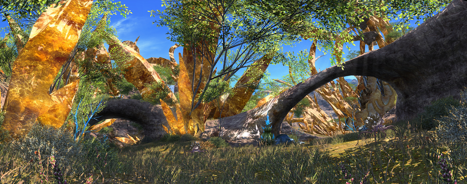 pano13copy.png