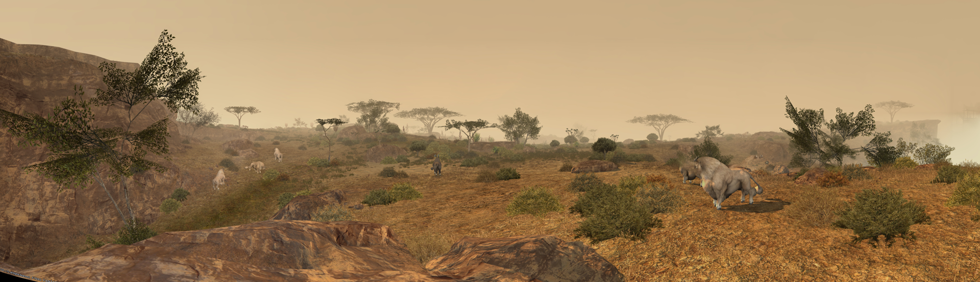 pano3.png
