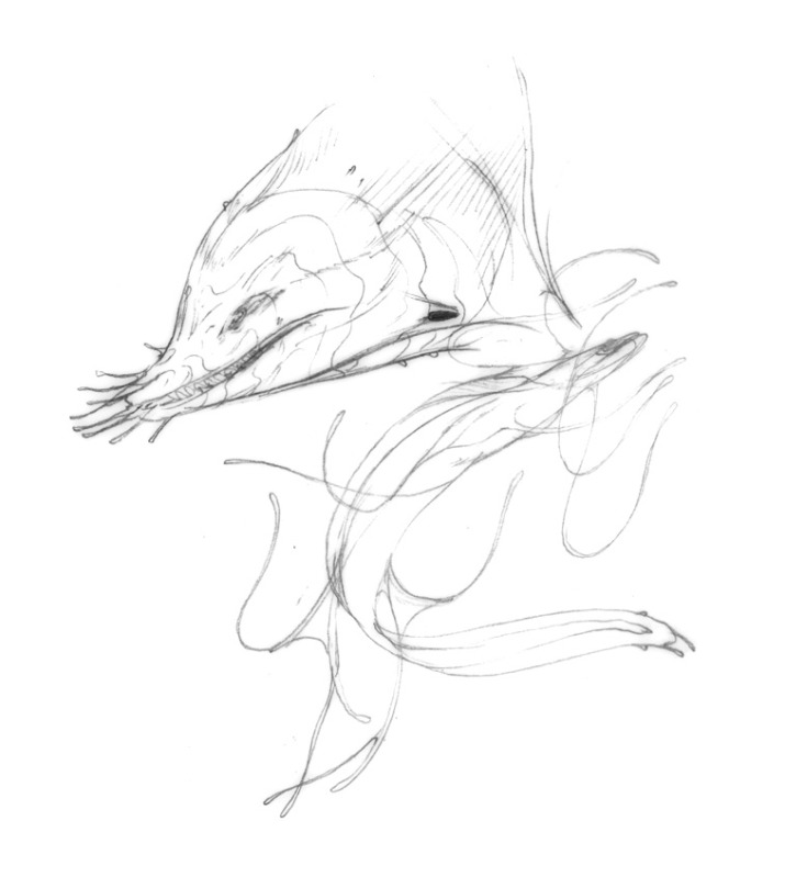 Sketch of a garnea