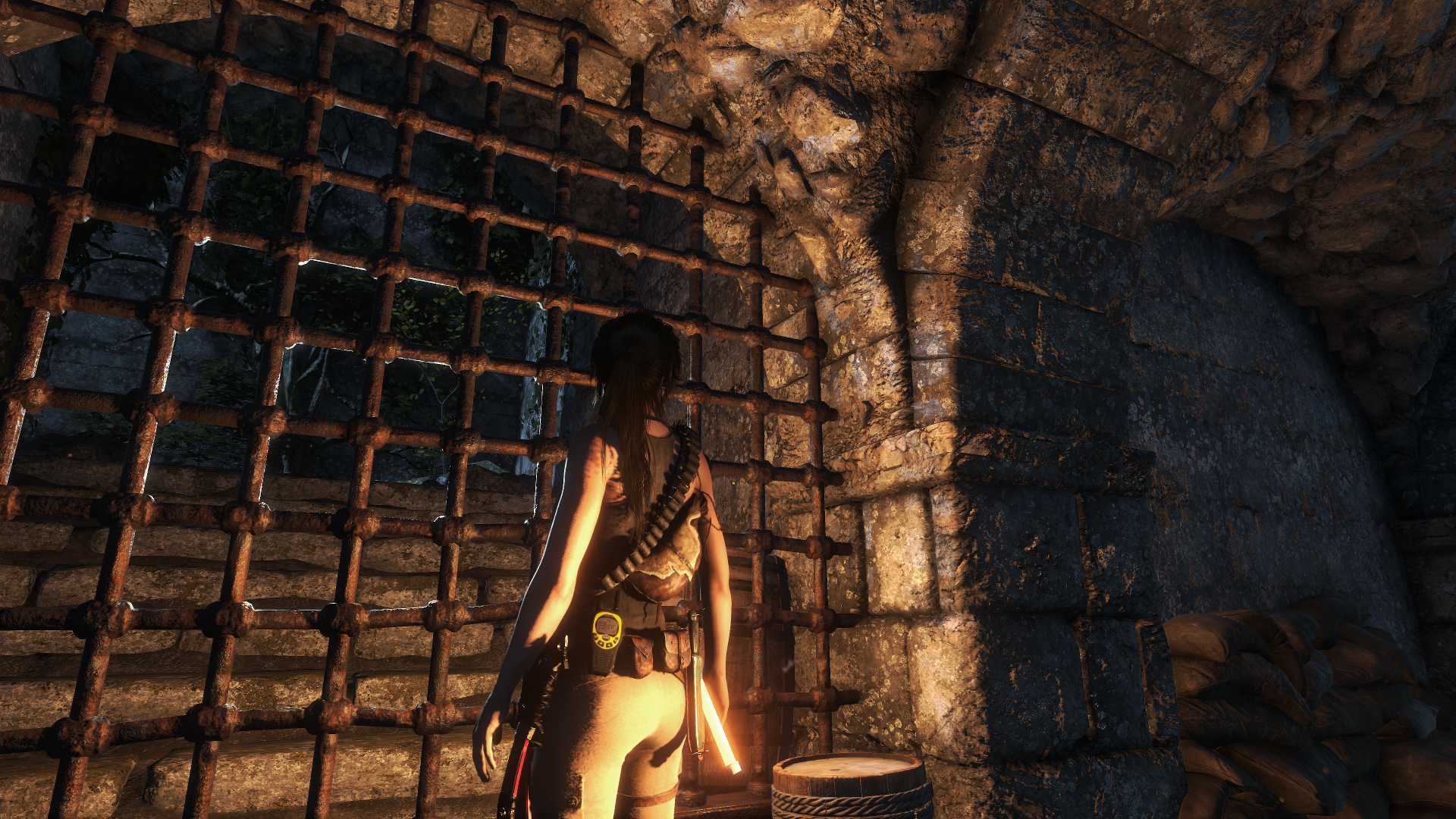 RiseoftheTombRaider3.png
