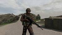 arma2oa2013062714041.png