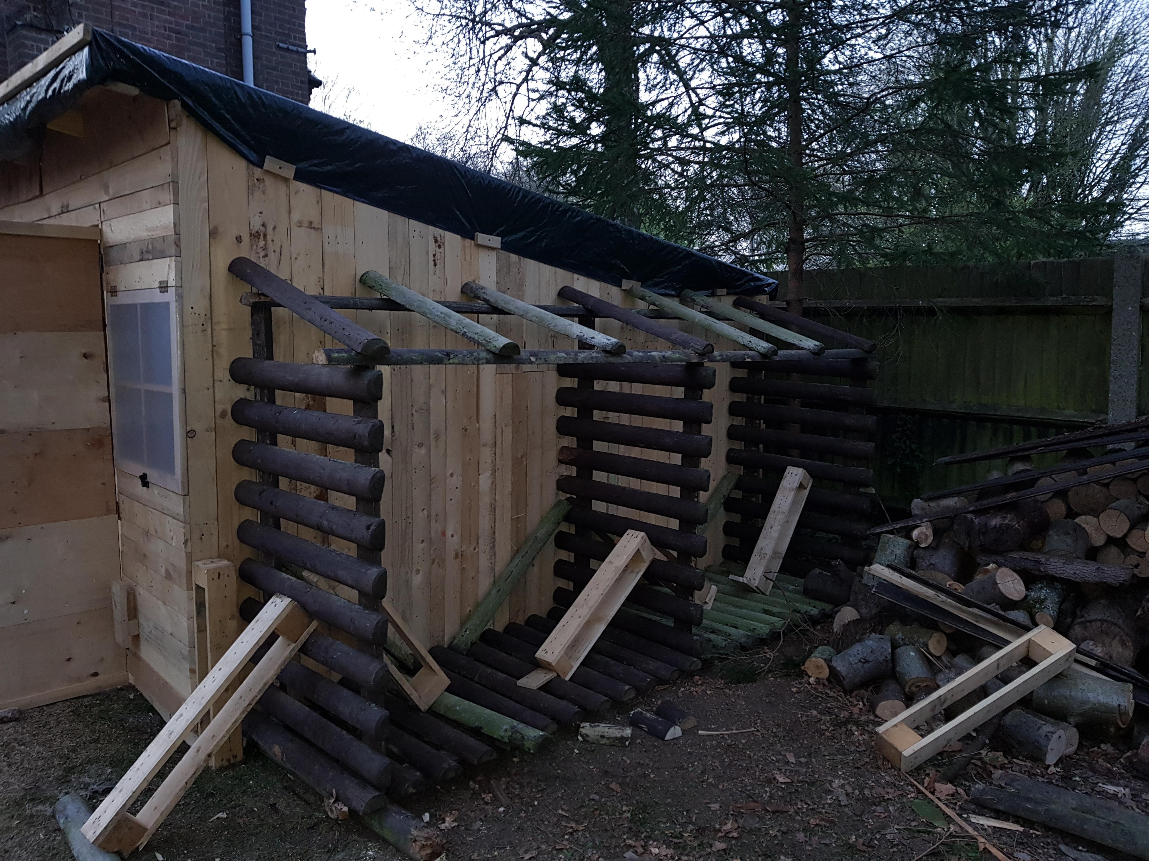 ShedDay8Woodstore.jpg