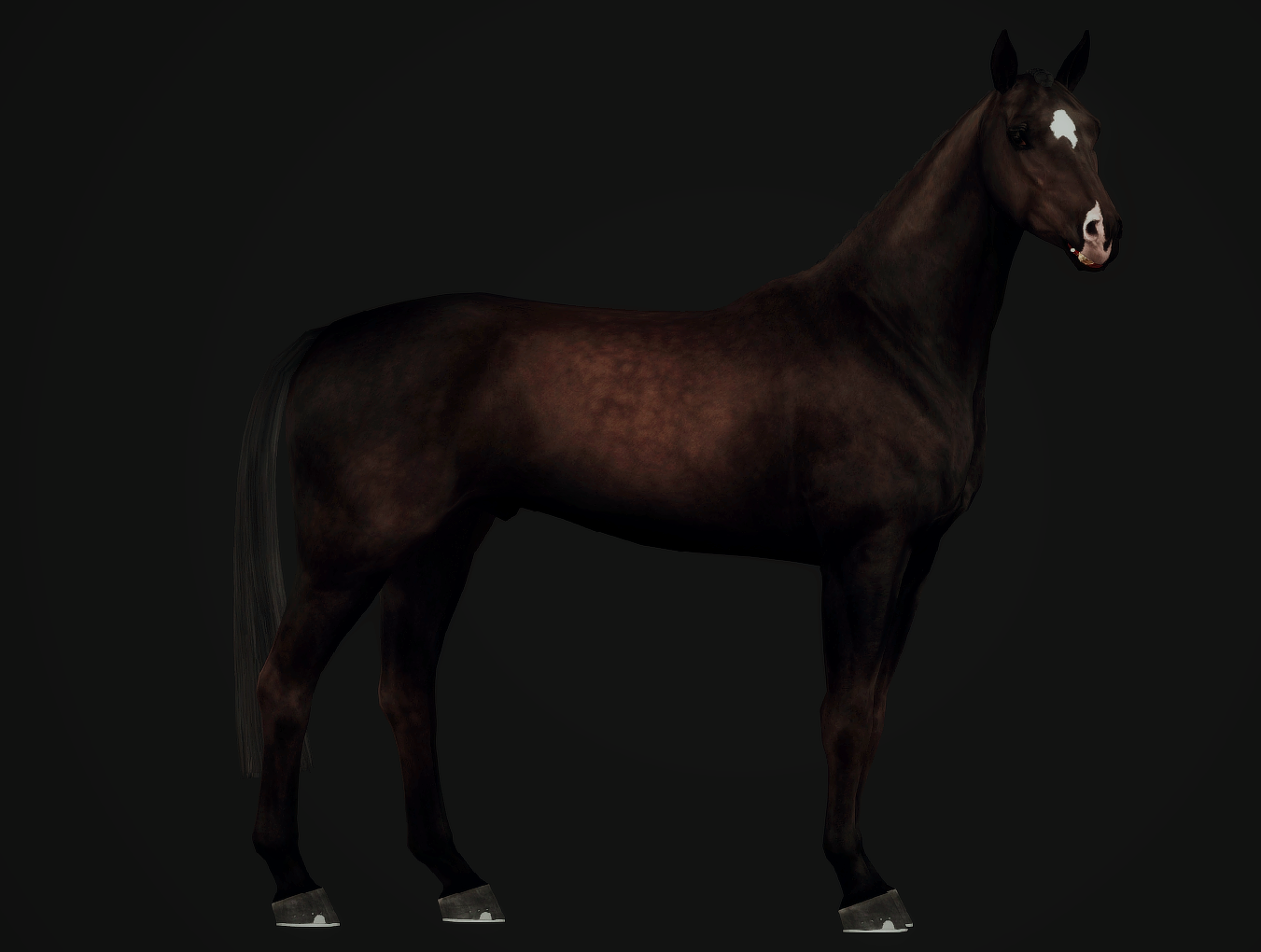 Horse image