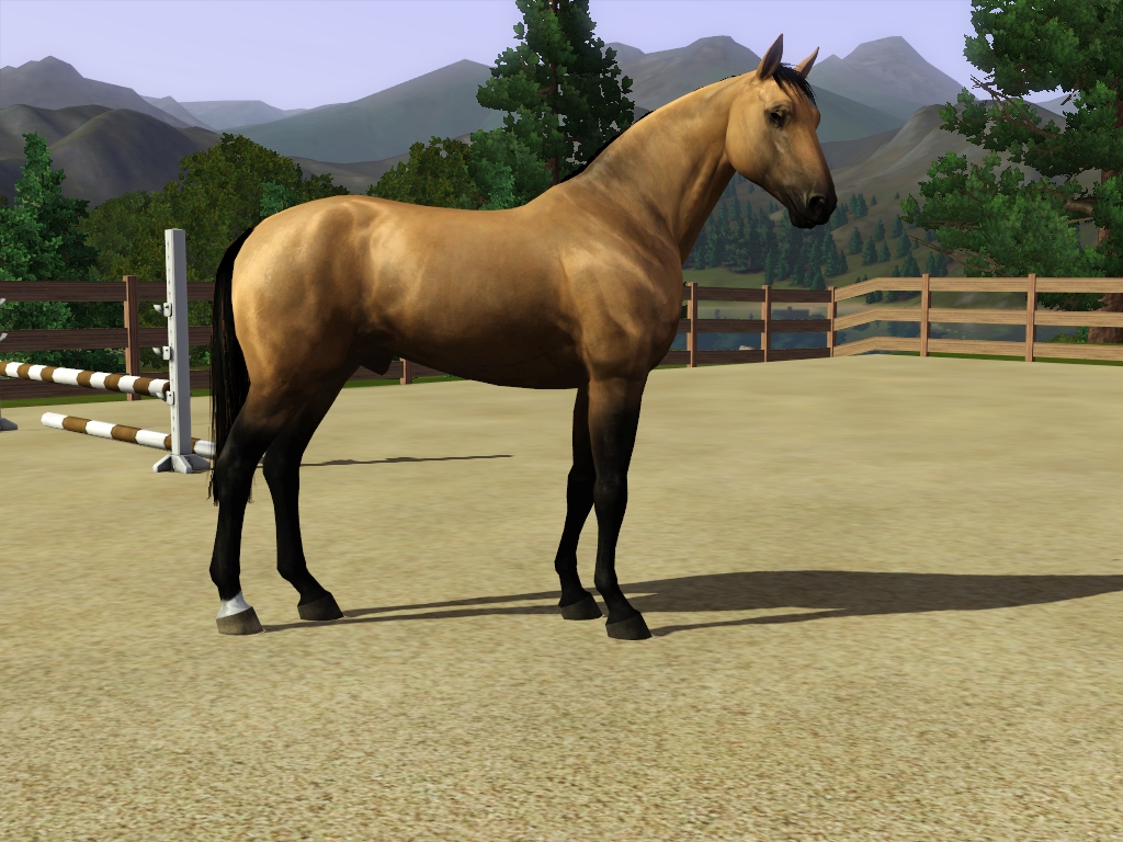 Horse image