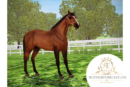 Horse image