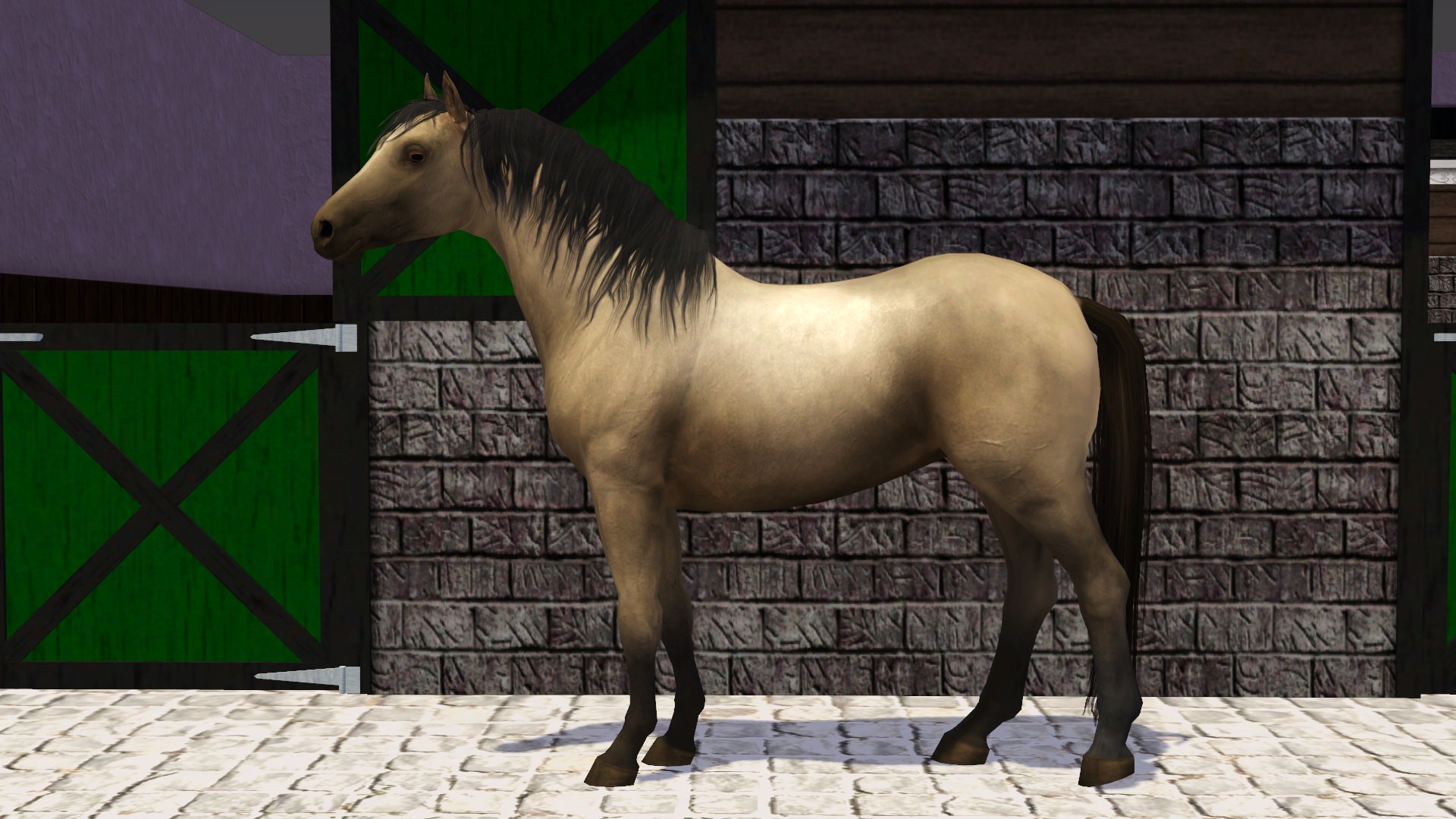 Horse image