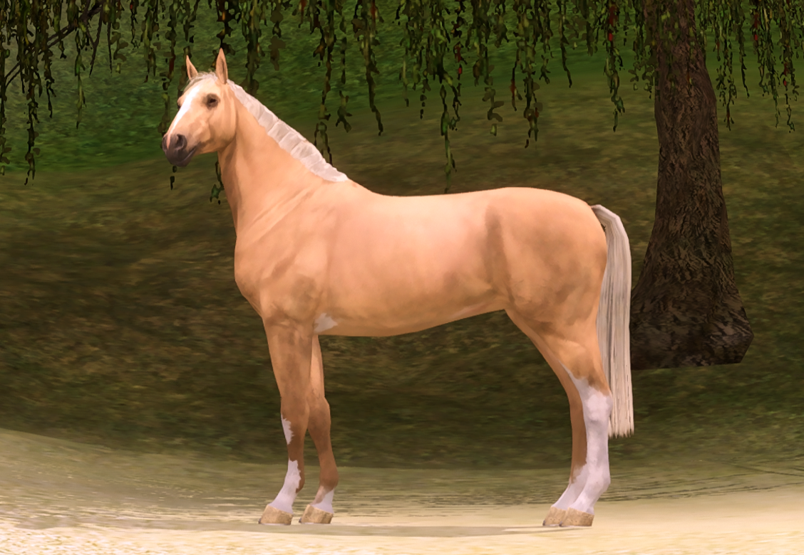 Horse image