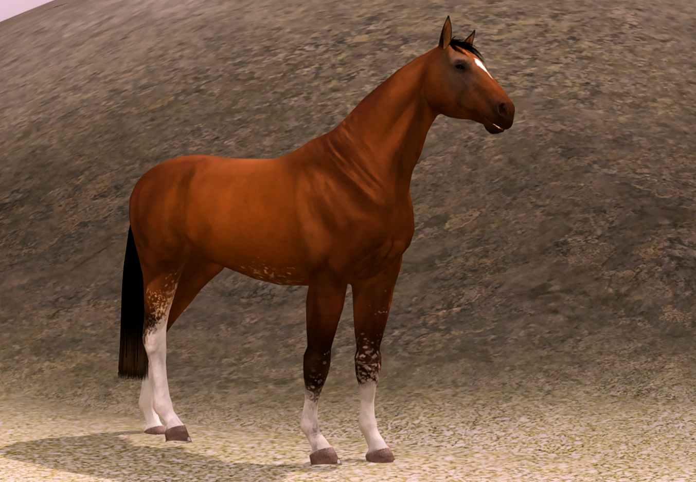 Horse image