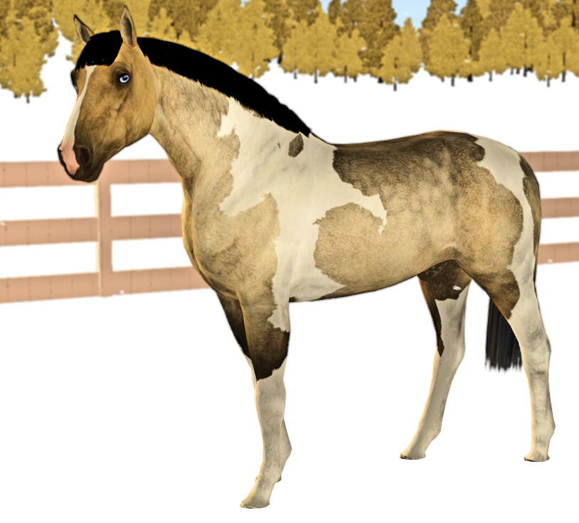 Horse image