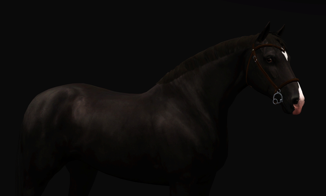 Horse image