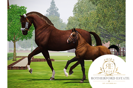 Horse image