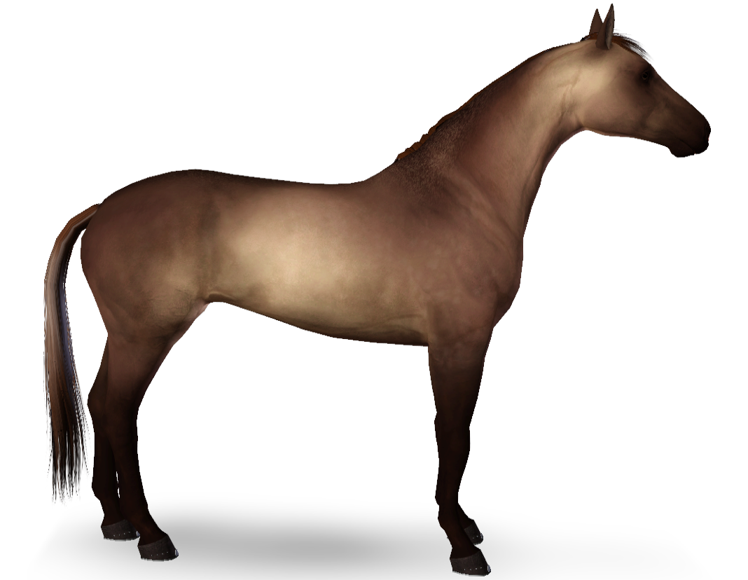 Horse image